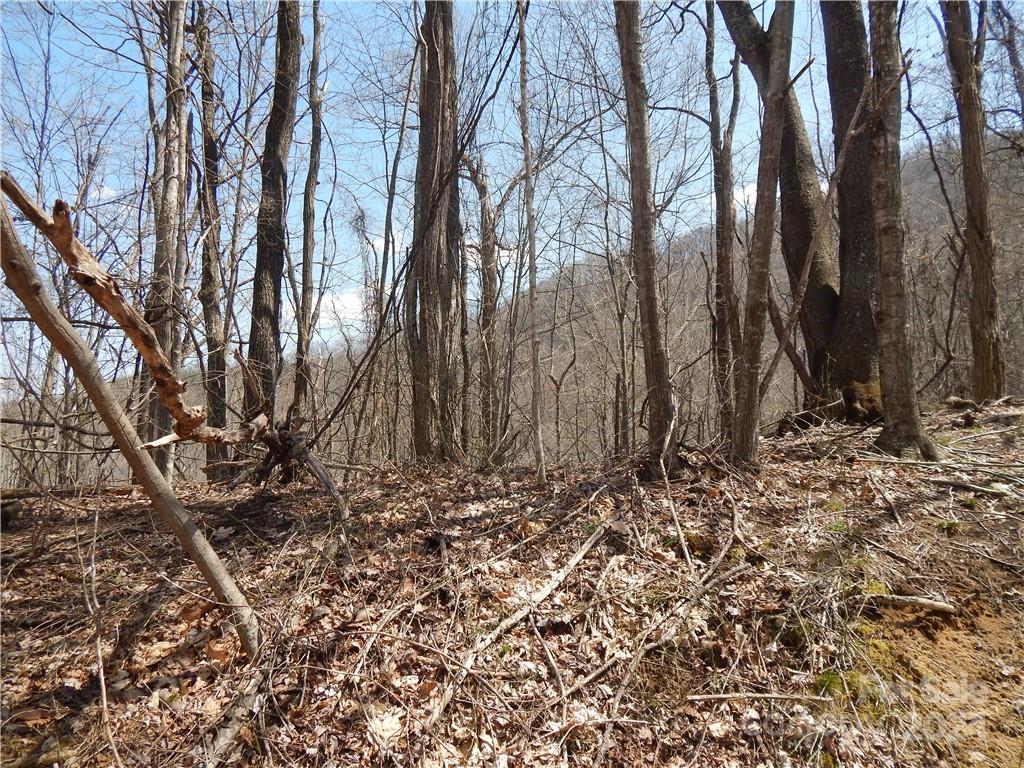0 Gentry Farm Rd Spring Creek Hot Springs, NC 28743 - Photo 20 of 26 a view of a backyard of the house