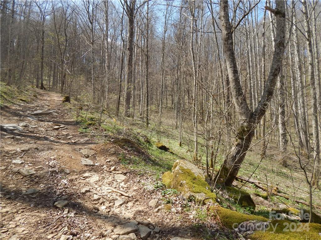 0 Gentry Farm Rd Spring Creek Hot Springs, NC 28743 - Photo 2 of 26