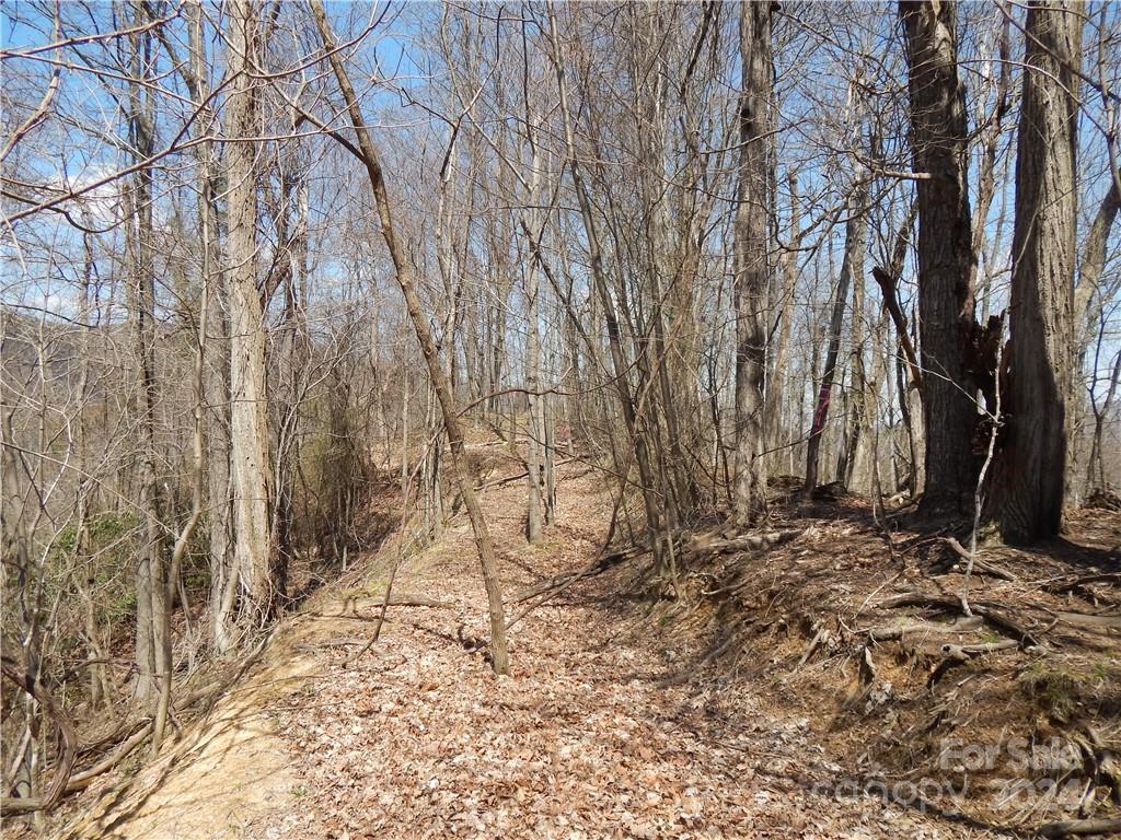 0 Gentry Farm Rd Spring Creek Hot Springs, NC 28743 - Photo 22 of 26 a backyard of a house with lots of green space