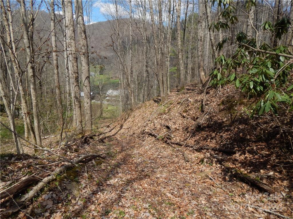 0 Gentry Farm Rd Spring Creek Hot Springs, NC 28743 - Photo 4 of 26 a view of a backyard of the house