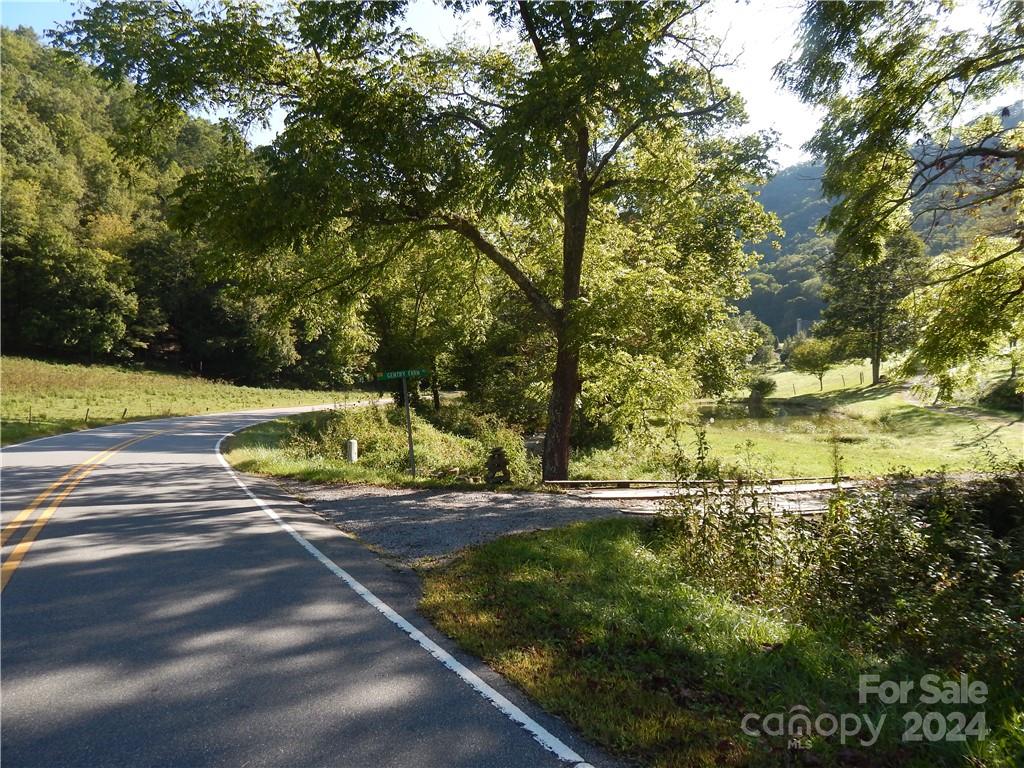 0 Gentry Farm Rd Spring Creek Hot Springs, NC 28743 - Photo 6 of 26 a view of a yard
