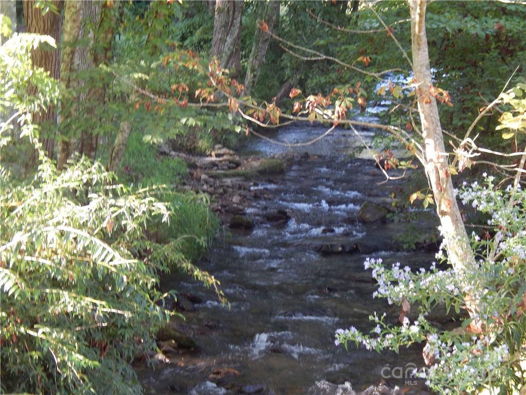 0 Gentry Farm Rd Spring Creek Hot Springs, NC 28743 - Photo 7 of 26