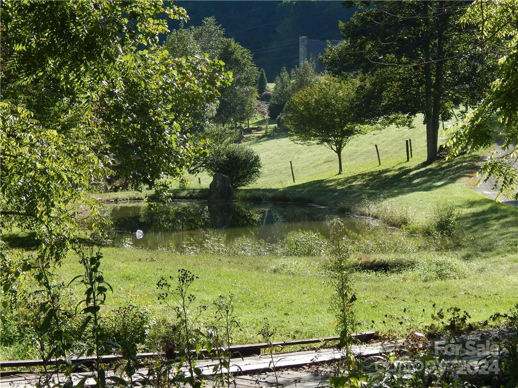 0 Gentry Farm Rd Spring Creek Hot Springs, NC 28743 - Photo 9 of 26 a view of a yard