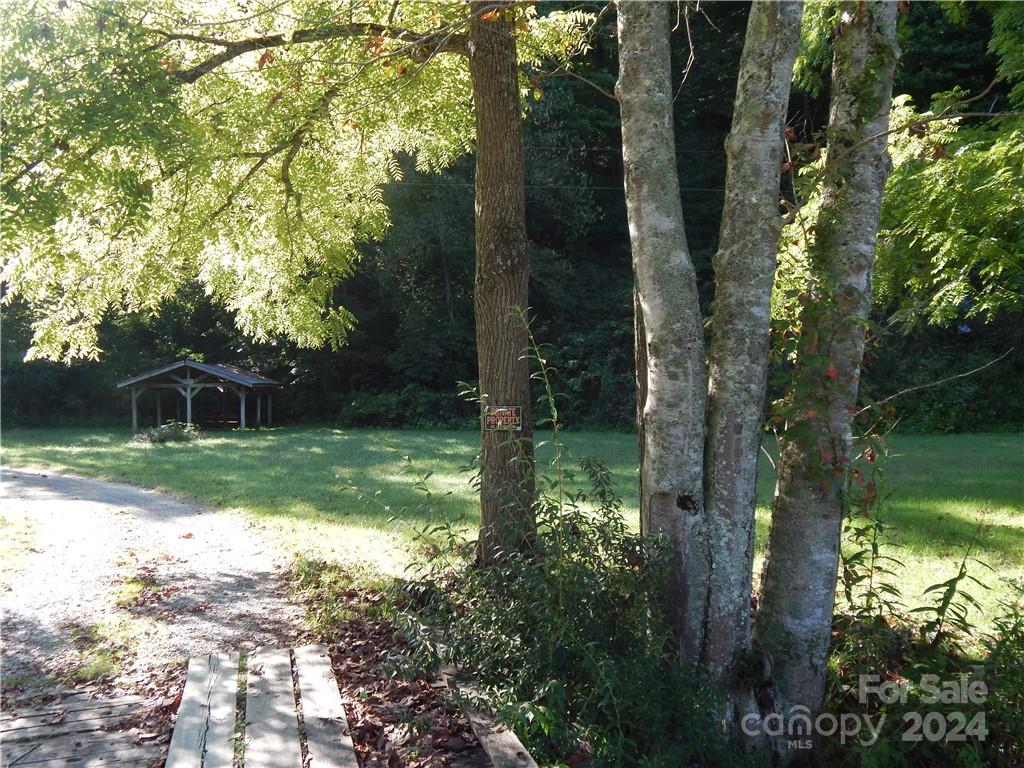 0 Gentry Farm Rd Spring Creek Hot Springs, NC 28743 - Photo 10 of 26 a view of backyard with green space