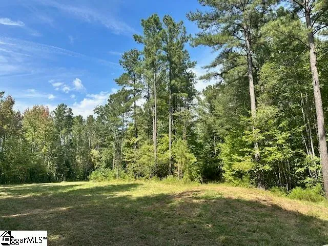 $2,900,000 | 0 South J Workman Highway, Woodruff, SC 29388