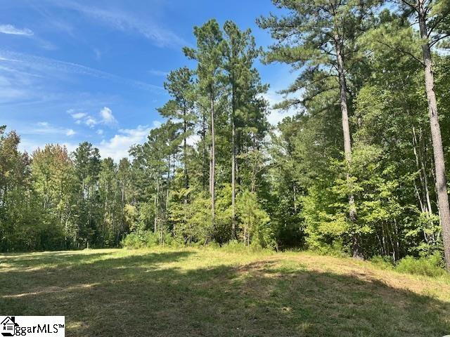 0 South J Workman Highway Woodruff, SC 29388 - Photo 2 of 10