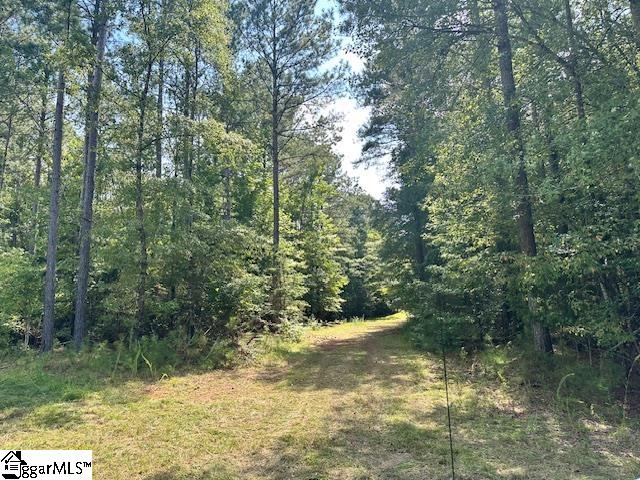 0 South J Workman Highway Woodruff, SC 29388 - Photo 3 of 10