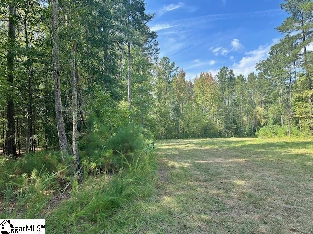 0 South J Workman Highway Woodruff, SC 29388 - Photo 4 of 10