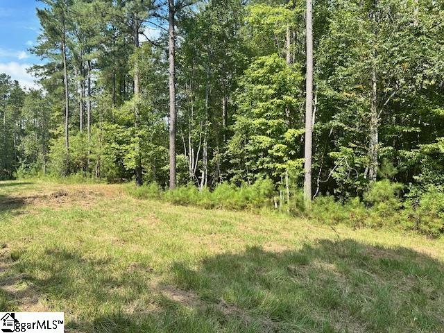 0 South J Workman Highway Woodruff, SC 29388 - Photo 5 of 10