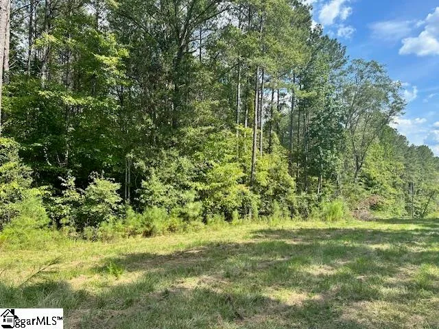 $2,900,000 | 0 South J Workman Highway, Woodruff, SC 29388