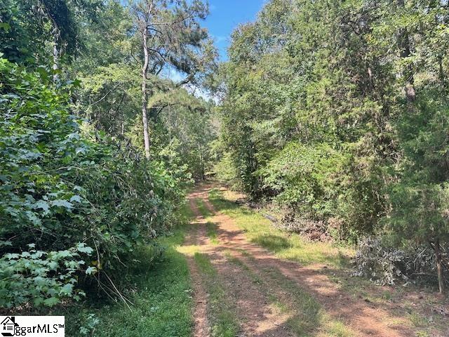 0 South J Workman Highway Woodruff, SC 29388 - Photo 8 of 10
