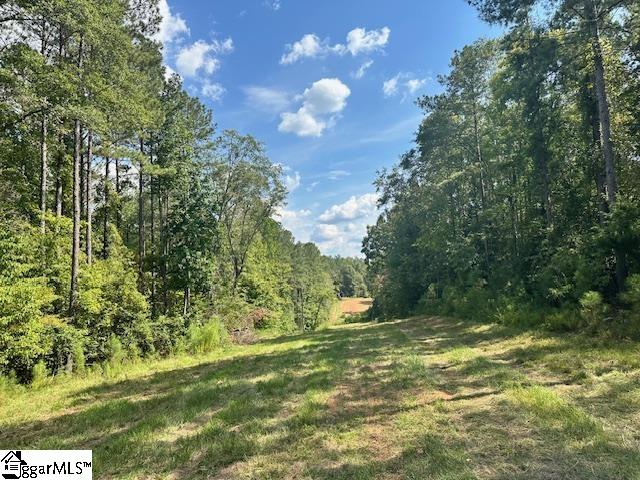 0 South J Workman Highway Woodruff, SC 29388 - Photo 9 of 10