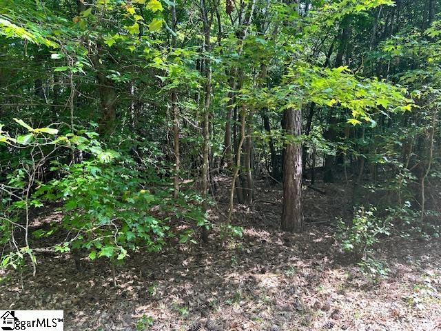 0 South J Workman Highway Woodruff, SC 29388 - Photo 10 of 10