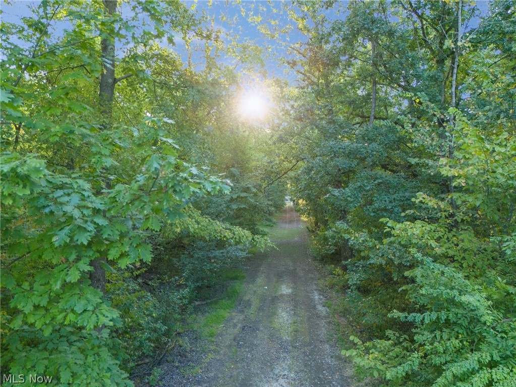 1135 Mahoning Portage County Line Road Lake Milton, OH 44429 - Photo 12 of 14