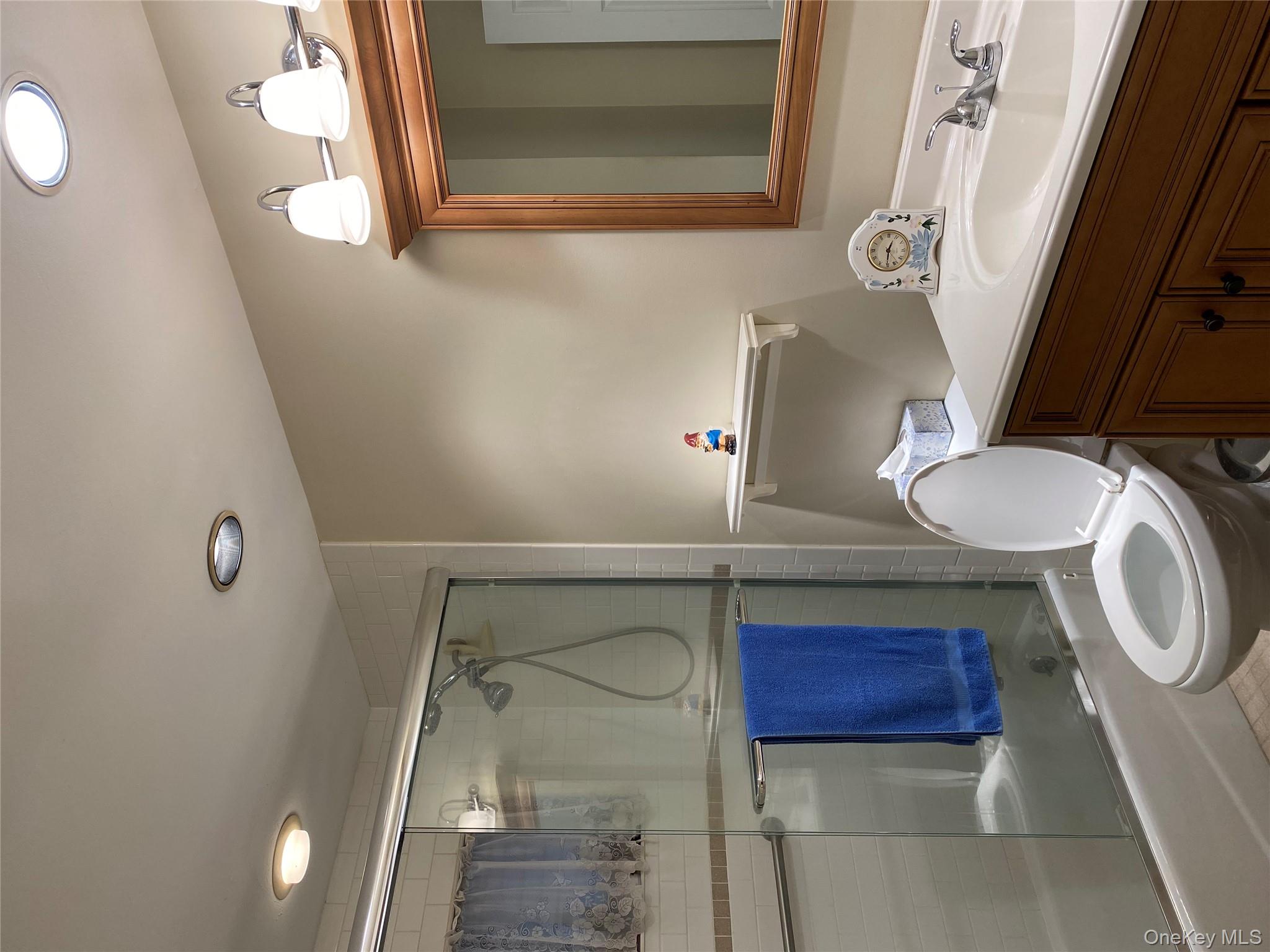 433 Browns Road Nesconset, NY 11767 - Photo 24 of 47 a bathroom with a sink a toilet and shower