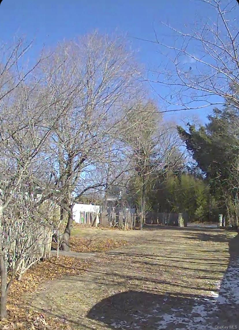 433 Browns Road Nesconset, NY 11767 - Photo 42 of 47 a view of a yard with large trees