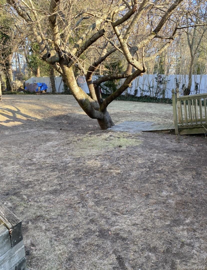 433 Browns Road Nesconset, NY 11767 - Photo 43 of 47 a view of a yard with a tree