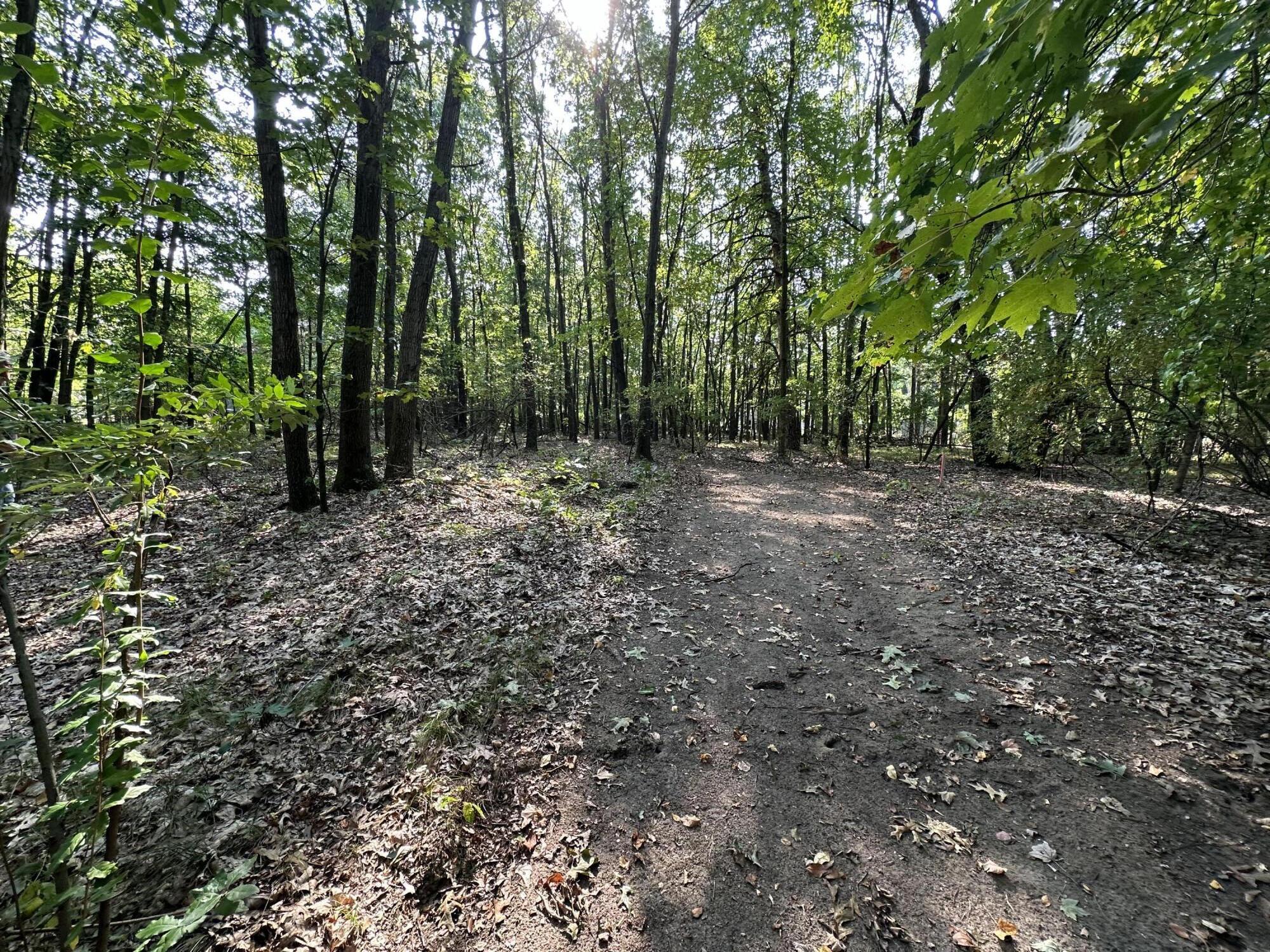 0 North 5 Mile Road Battle Creek, MI 49017 - Photo 2 of 9 IMG_3189