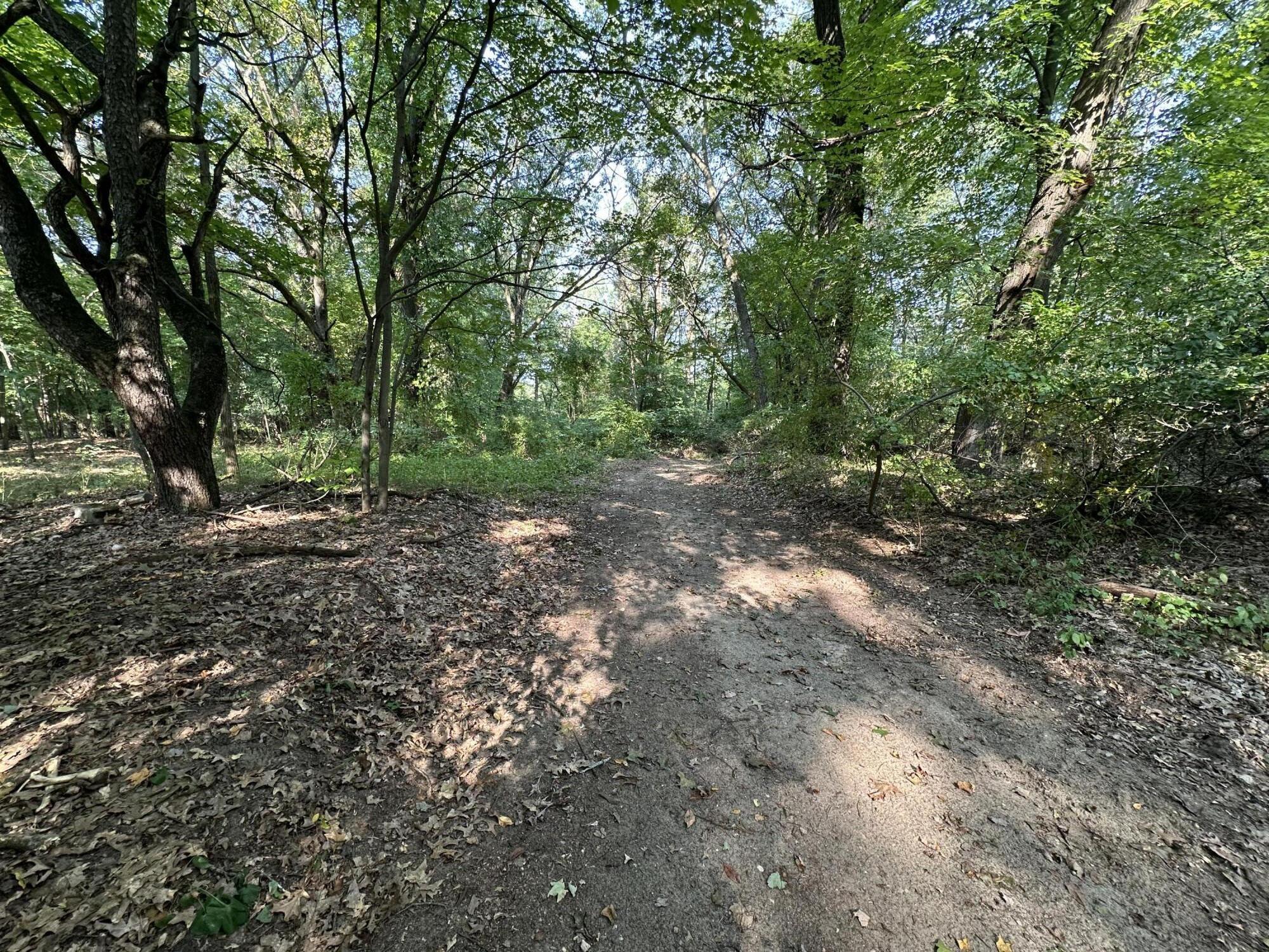 0 North 5 Mile Road Battle Creek, MI 49017 - Photo 3 of 9 IMG_3190