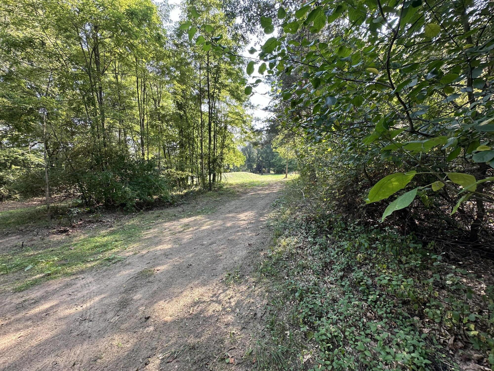 0 North 5 Mile Road Battle Creek, MI 49017 - Photo 4 of 9 IMG_3194