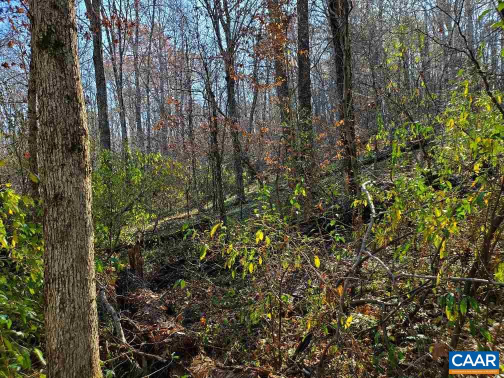 0 Gilbert Station Road Barboursville, VA 22923 - Photo 11 of 21 Gallery Image 11