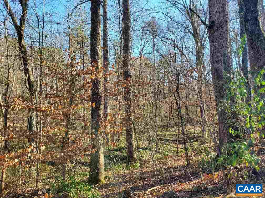 0 Gilbert Station Road Barboursville, VA 22923 - Photo 14 of 21 Gallery Image 14