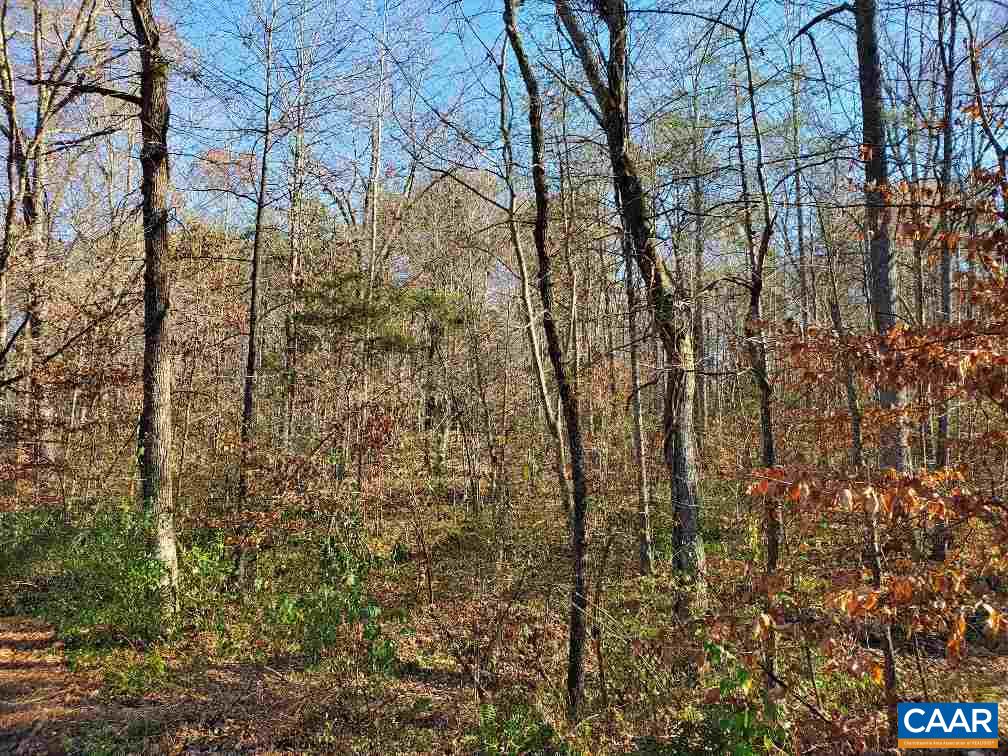 0 Gilbert Station Road Barboursville, VA 22923 - Photo 15 of 21 Gallery Image 15