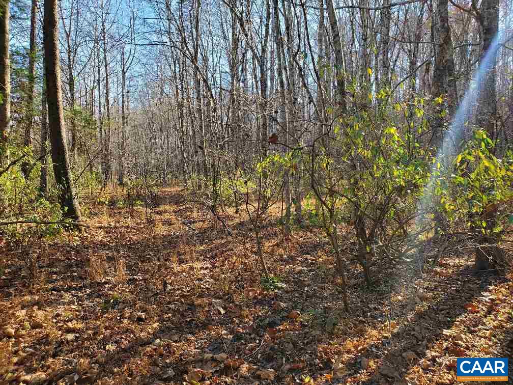 0 Gilbert Station Road Barboursville, VA 22923 - Photo 17 of 21 Gallery Image 17