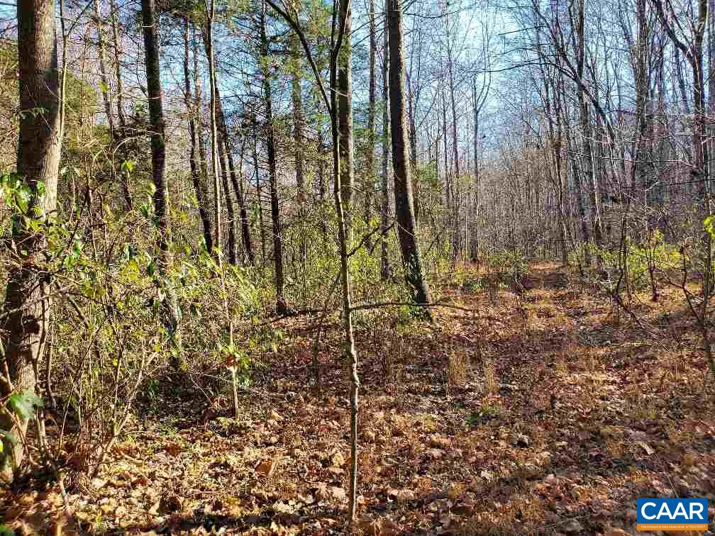 0 Gilbert Station Road Barboursville, VA 22923 - Photo 19 of 21 Gallery Image 19