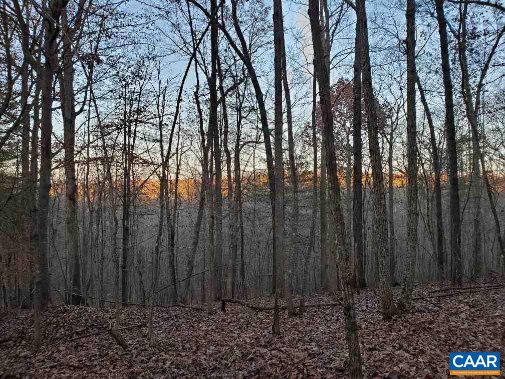 0 Gilbert Station Road Barboursville, VA 22923 - Photo 2 of 21 Gallery Image 2