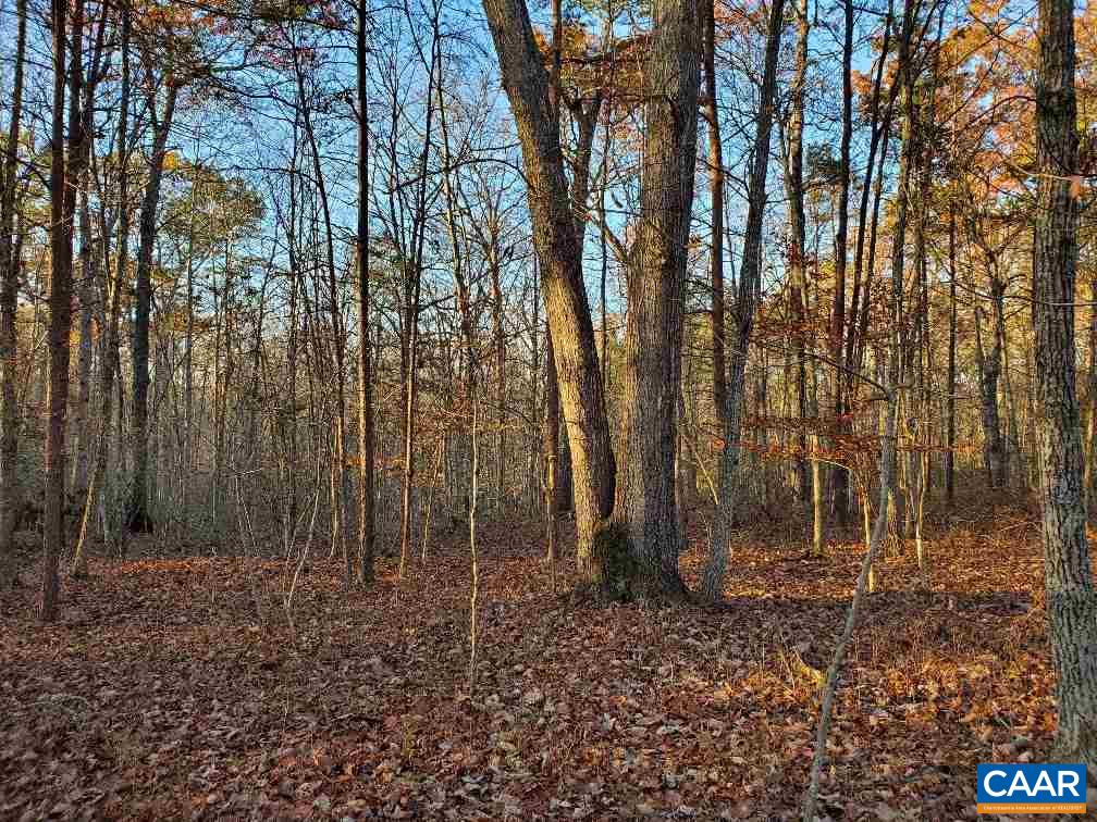 0 Gilbert Station Road Barboursville, VA 22923 - Photo 6 of 21 Gallery Image 6