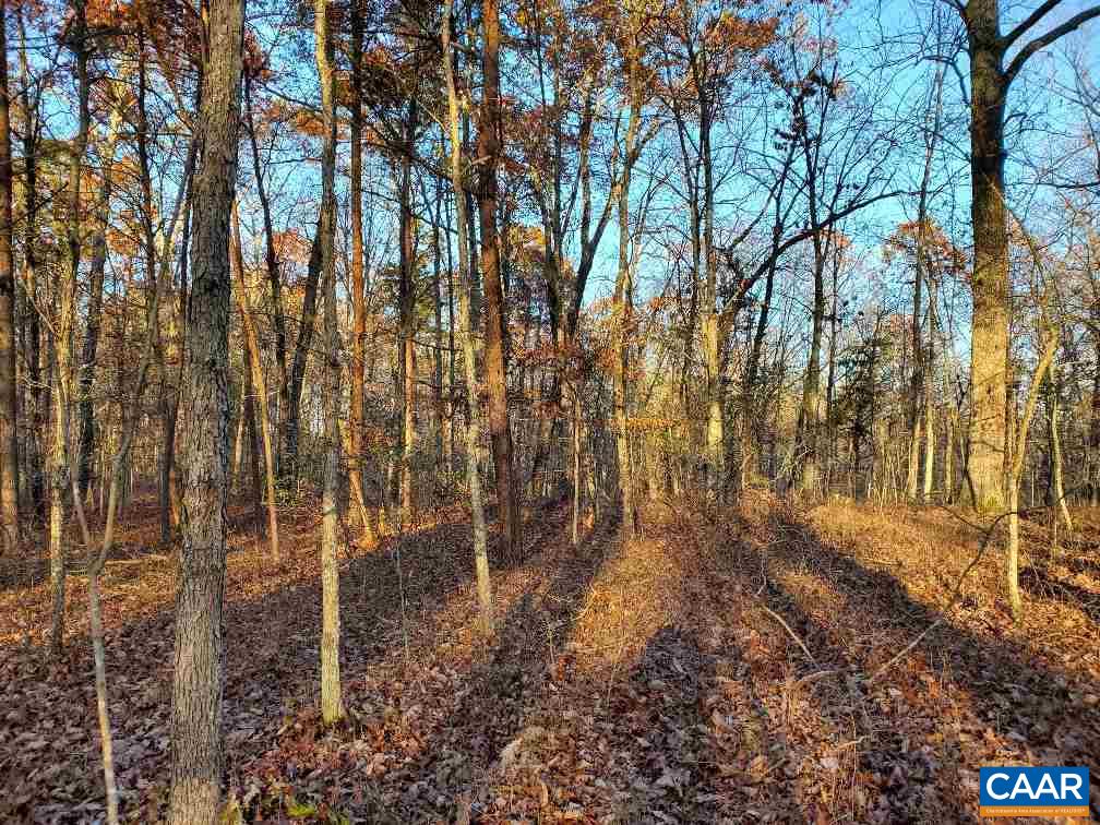 0 Gilbert Station Road Barboursville, VA 22923 - Photo 7 of 21 Gallery Image 7