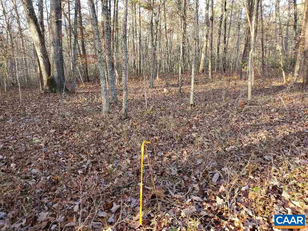 0 Gilbert Station Road Barboursville, VA 22923 - Photo 8 of 21 Gallery Image 8