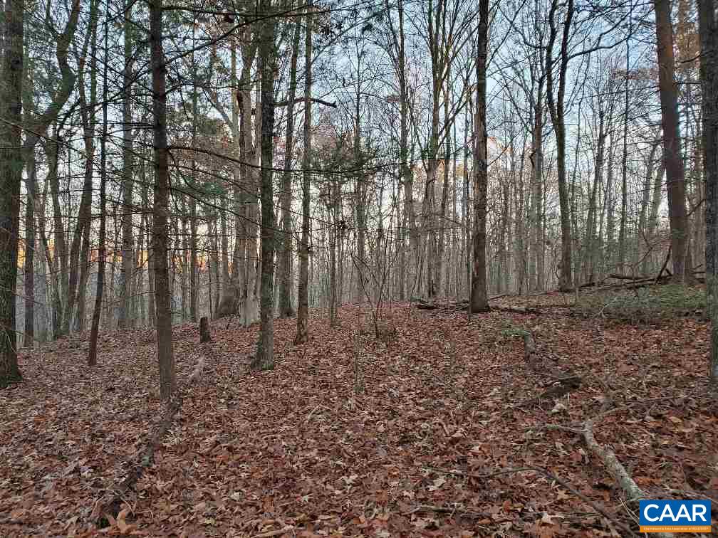 0 Gilbert Station Road Barboursville, VA 22923 - Photo 9 of 21 Gallery Image 9