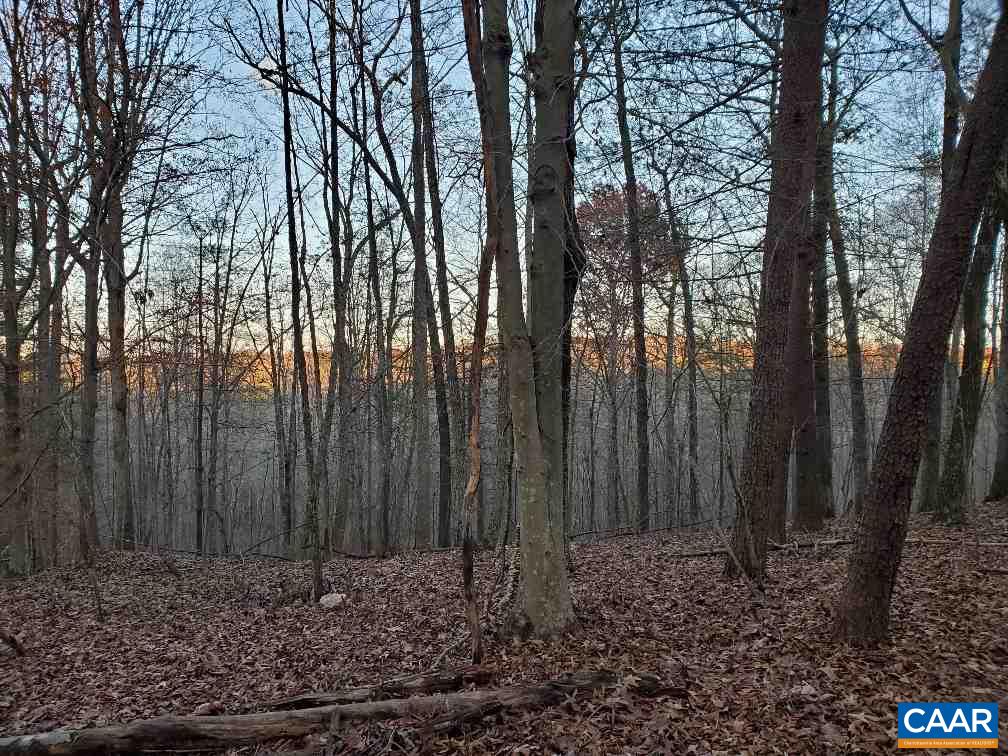 0 Gilbert Station Road Barboursville, VA 22923 - Photo 10 of 21 Gallery Image 10
