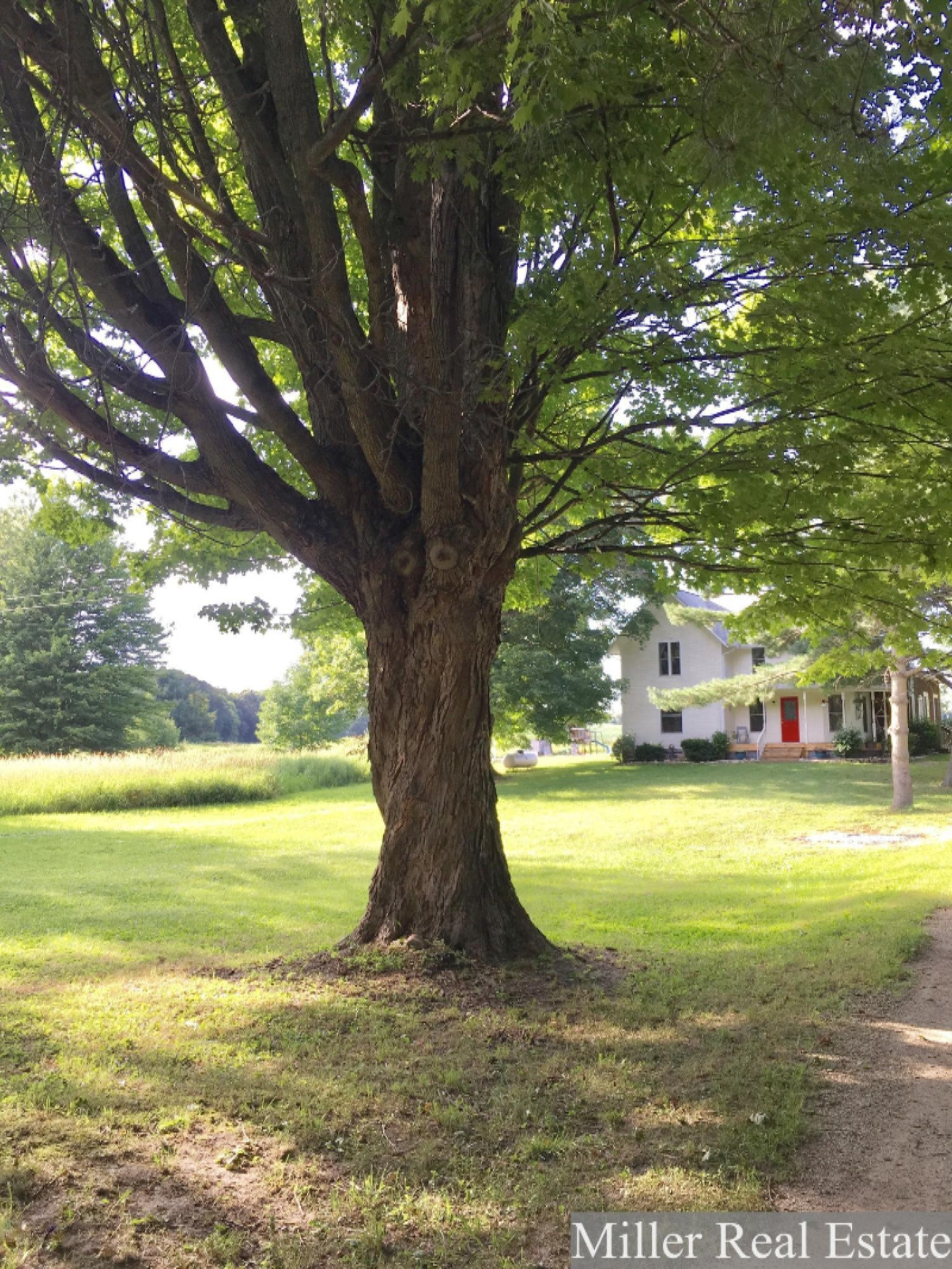 2395 East Butler Road Dowling, MI 49050 - Photo 5 of 50 Photo Jul 15, 18 29 08