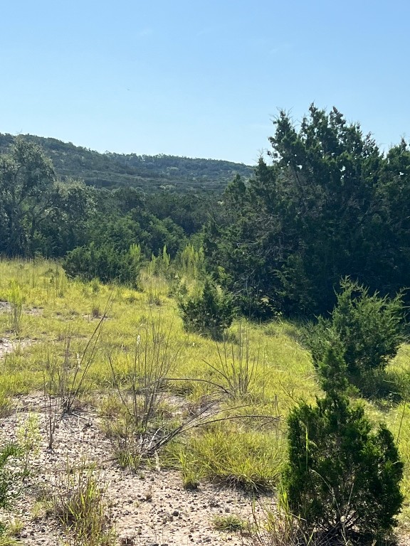 932 High Country Road Blanco, TX 78606 - Photo 17 of 23