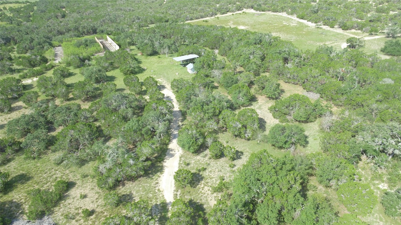 932 High Country Road Blanco, TX 78606 - Photo 8 of 23 a view of a forest