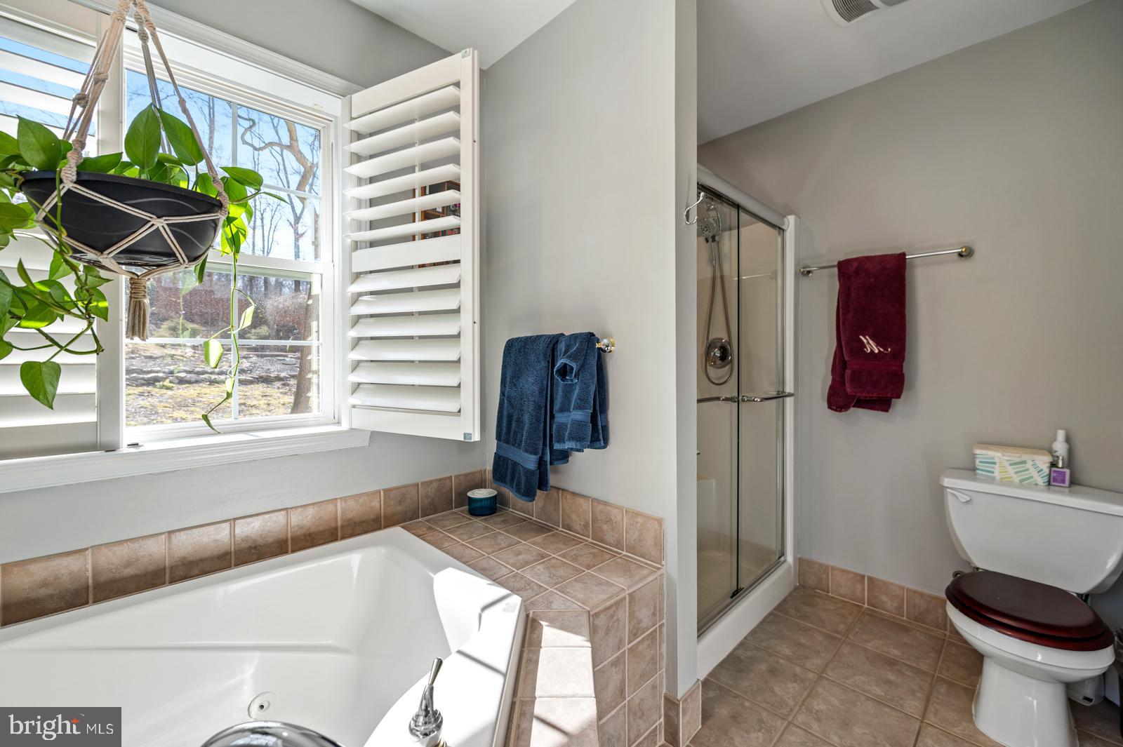608 Upper Weadley Road Wayne, PA 19087 - Photo 33 of 53 Main bath well lit with plantation shutters