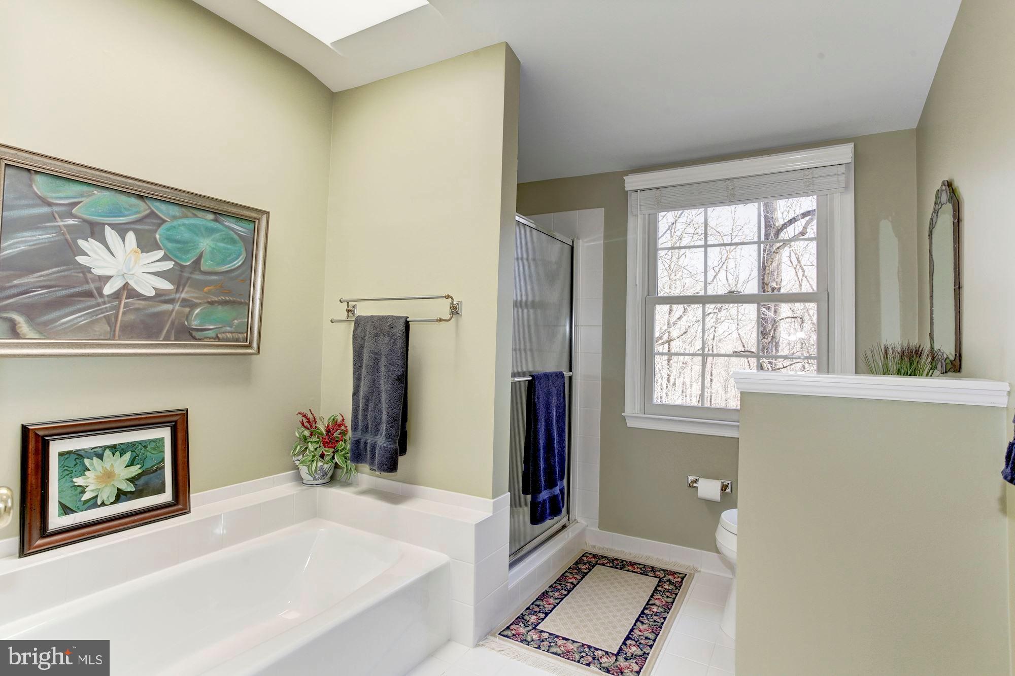 11805 Antietam Road Woodbridge, VA 22192 - Photo 35 of 54 Master bath