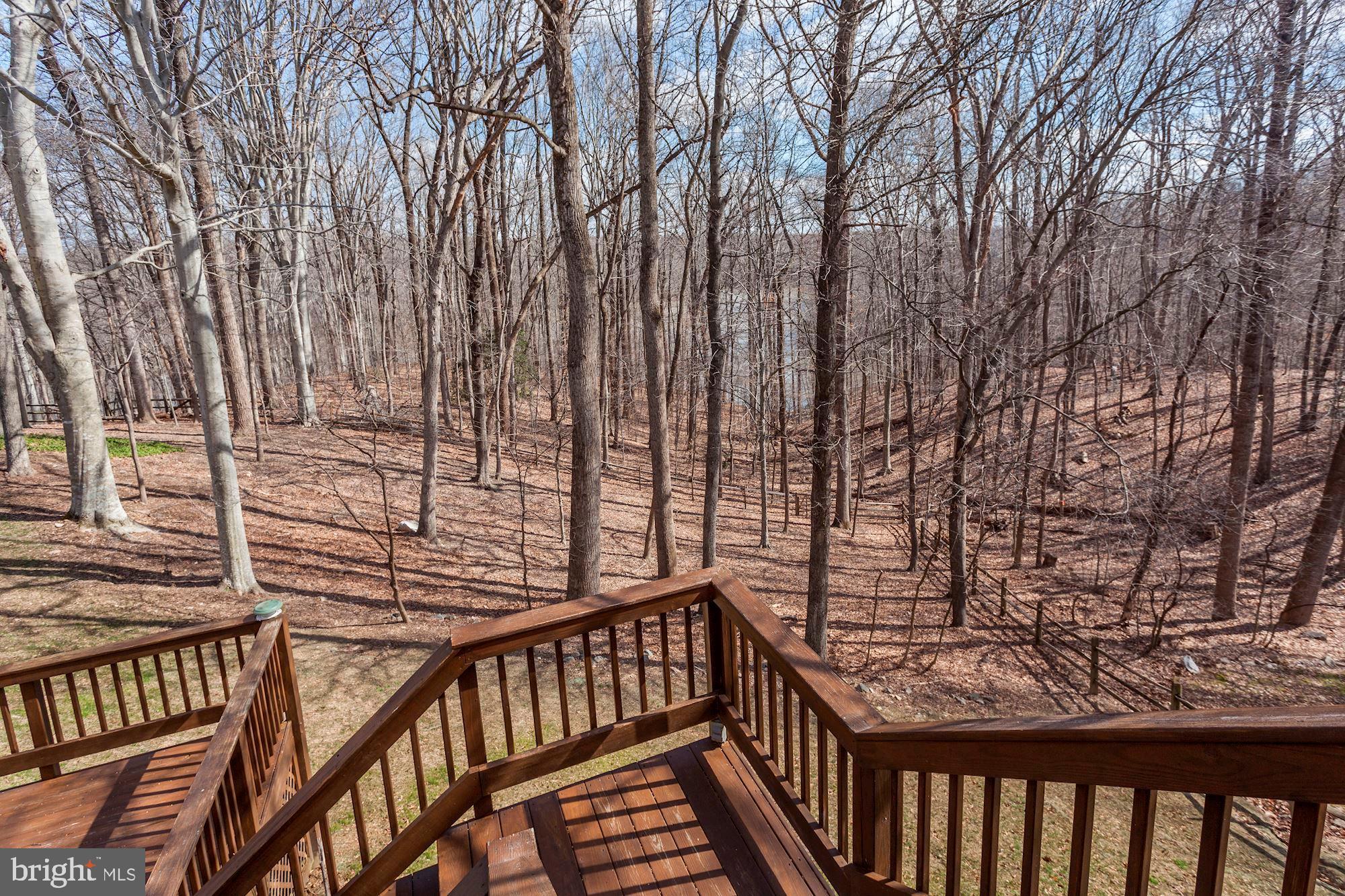 11805 Antietam Road Woodbridge, VA 22192 - Photo 50 of 54 Water views from Deck