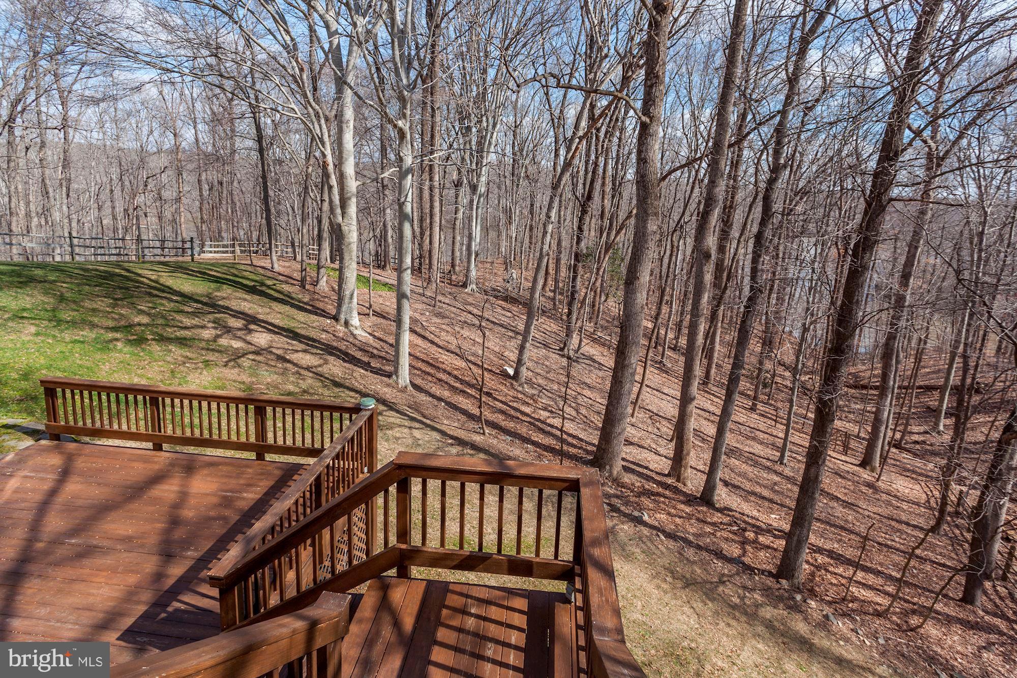 11805 Antietam Road Woodbridge, VA 22192 - Photo 51 of 54