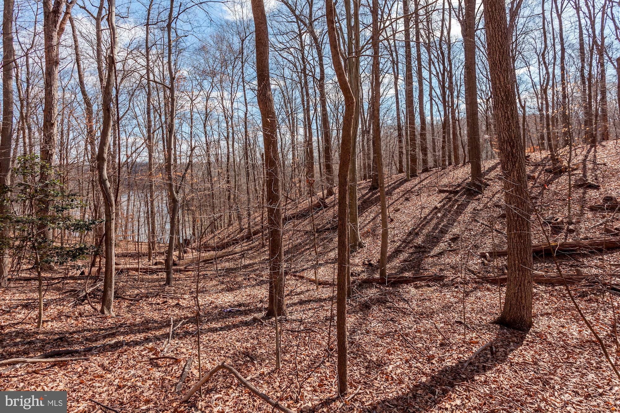 11805 Antietam Road Woodbridge, VA 22192 - Photo 53 of 54 Walk to the water!