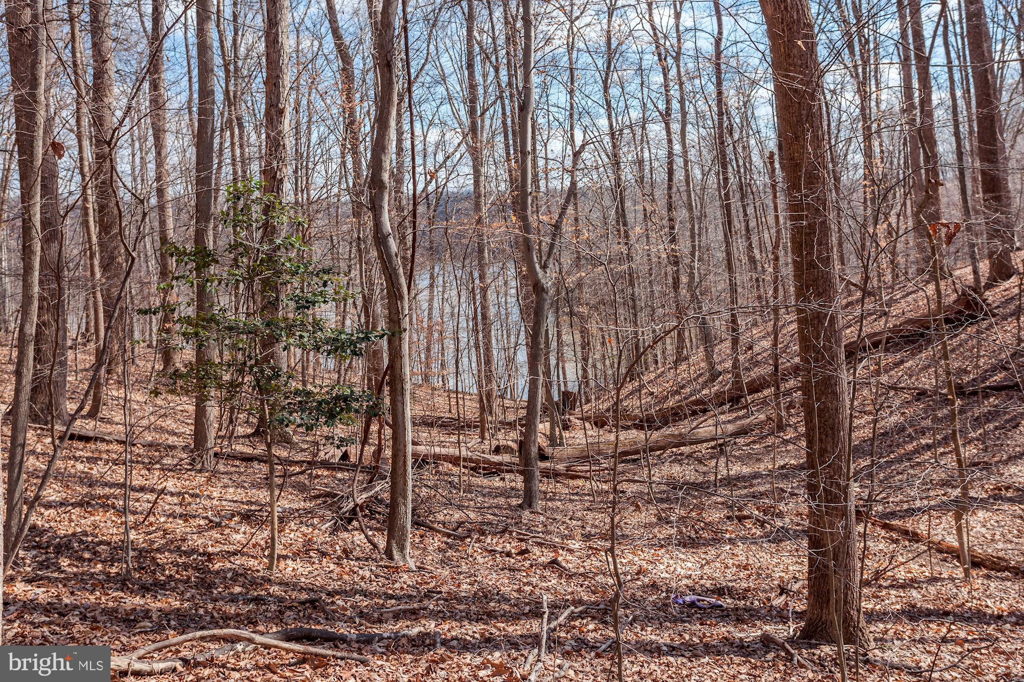 11805 Antietam Road Woodbridge, VA 22192 - Photo 54 of 54 Water Views of Occoquan Reservoir