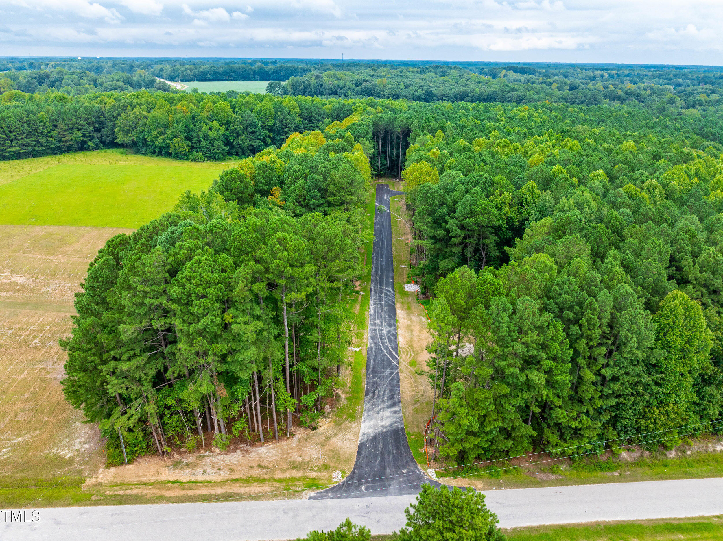 10320 Basmati Trail Zebulon, NC 27597 - Photo 15 of 15 a view of a garden with a lake