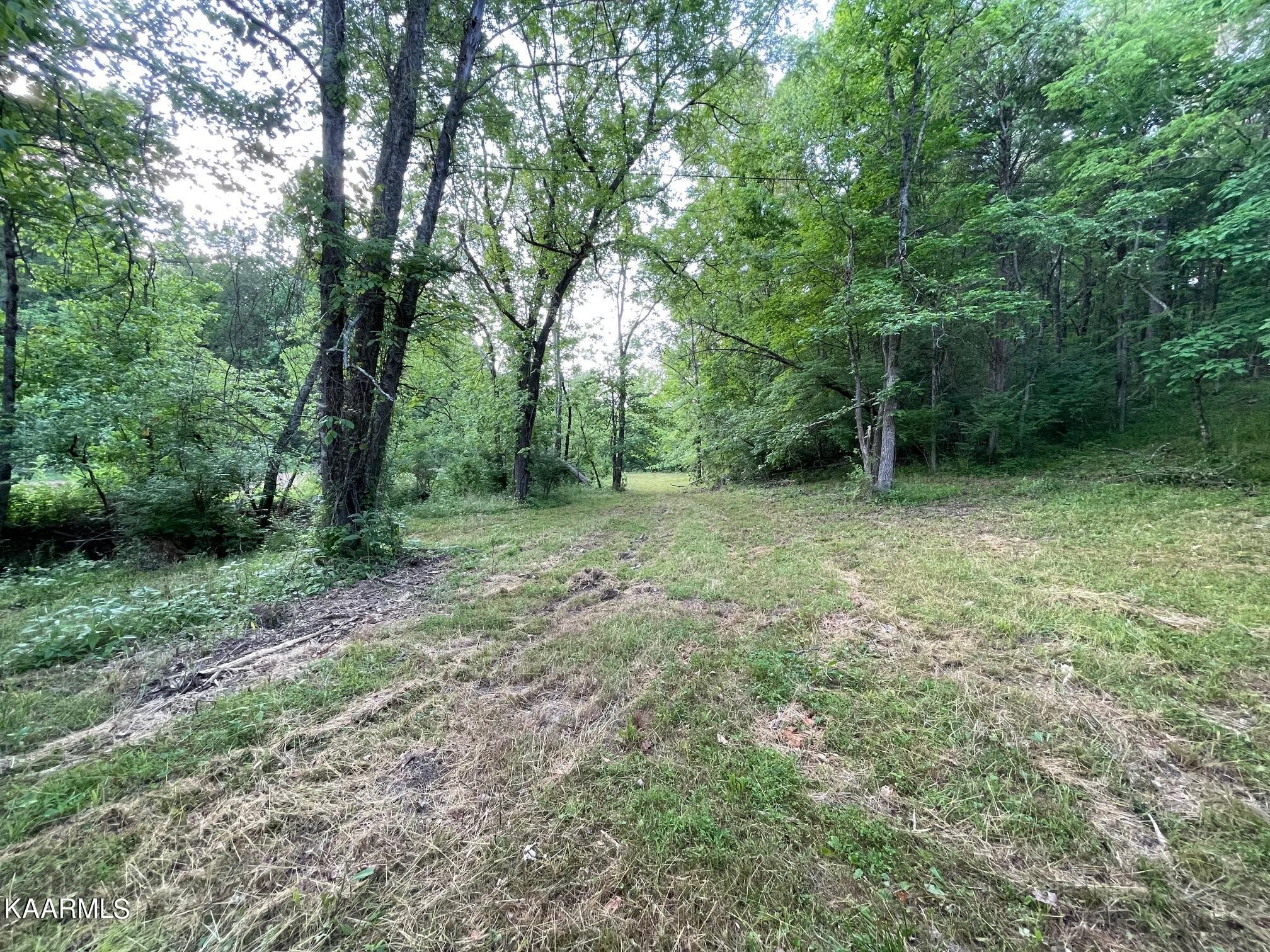 0 Curtis Road Knoxville, TN 37914 - Photo 1 of 4 Gallery Image 1