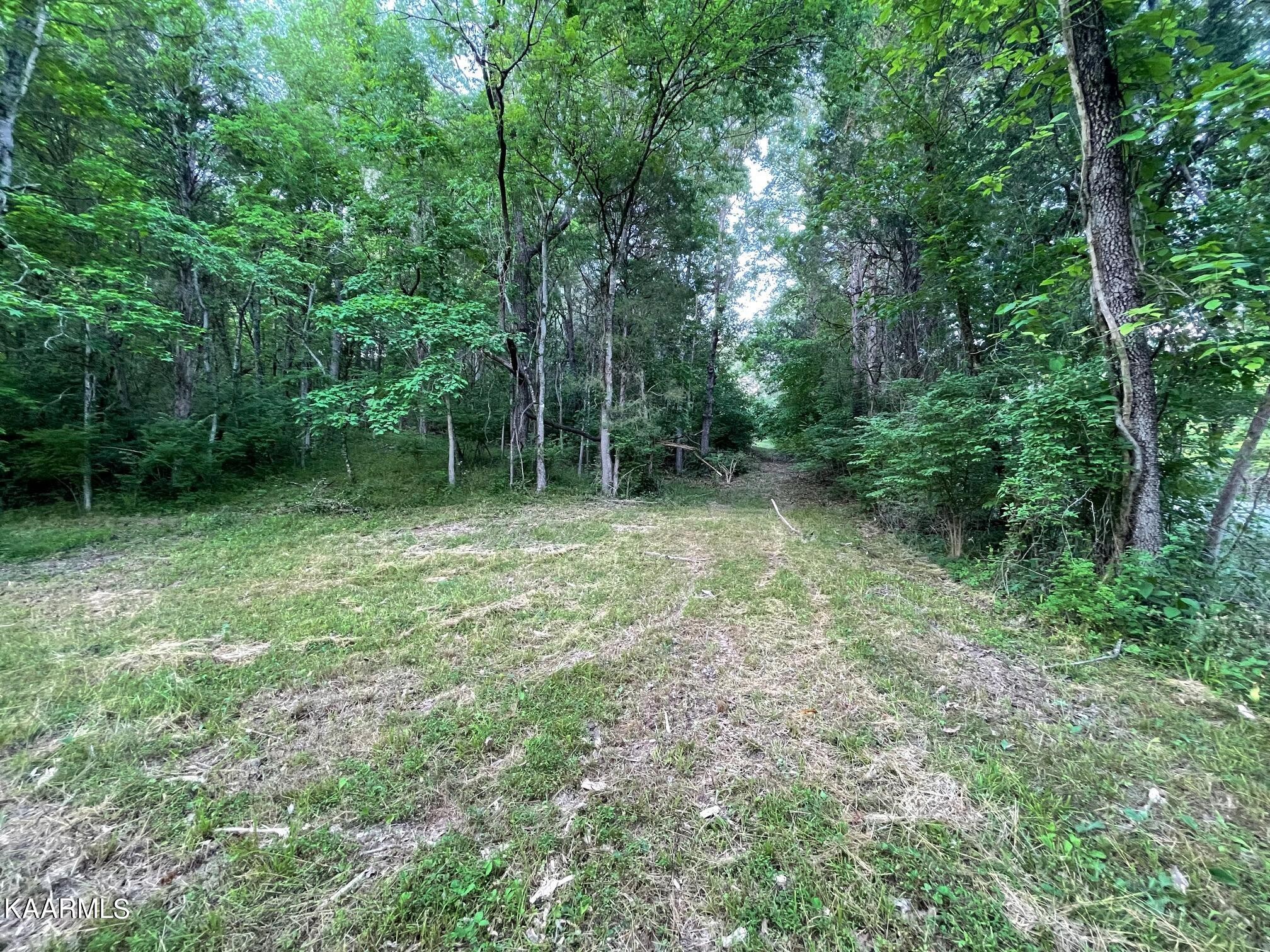 0 Curtis Road Knoxville, TN 37914 - Photo 2 of 4 Gallery Image 2