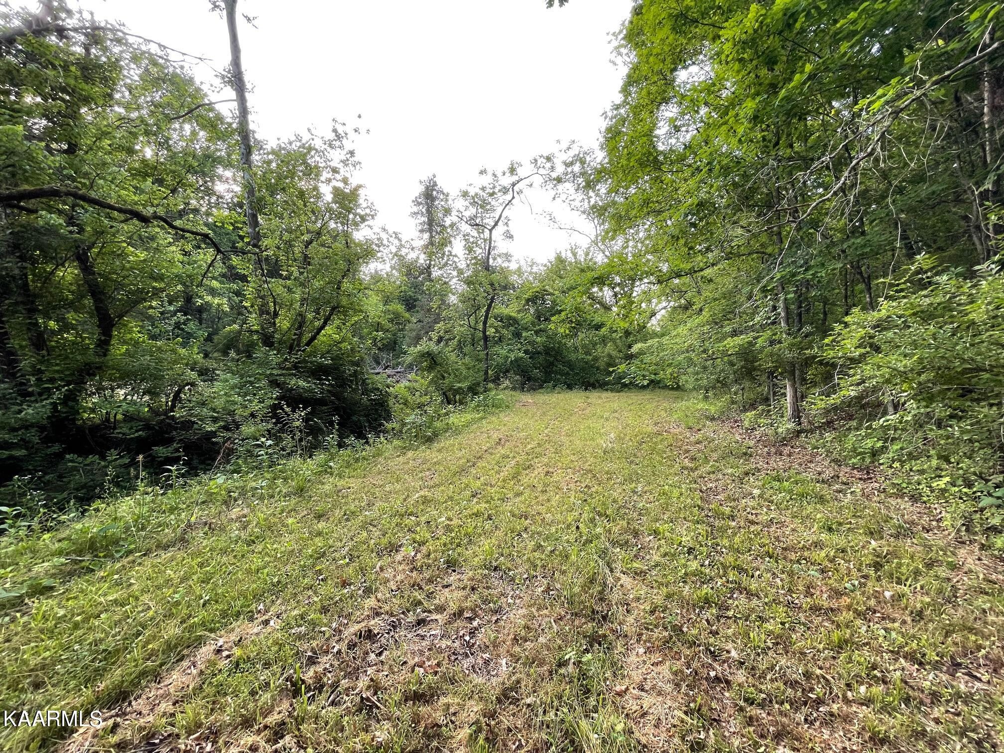 0 Curtis Road Knoxville, TN 37914 - Photo 3 of 4 Gallery Image 3