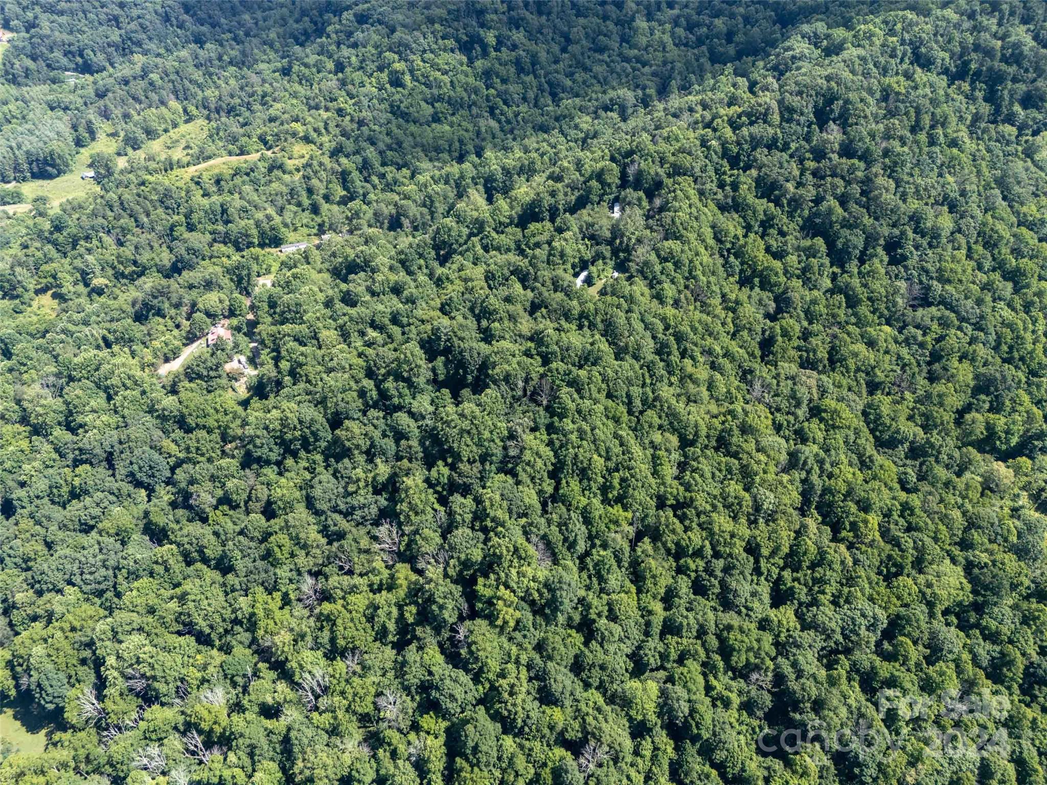 0 Aquarius Road Canton, NC 28716 - Photo 12 of 13 an outdoor view of a yard