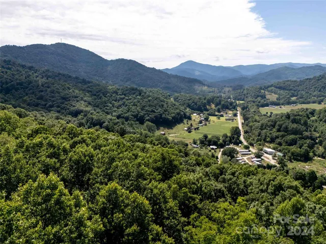 a view of a lush green field with mountains in the background